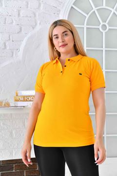 Immagine di POLO SHIRT IN COTTON